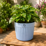 Eco Nest Planter
