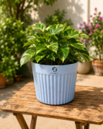 Eco Nest Planter