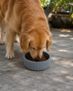 Pure Paws Feeder - Image 2