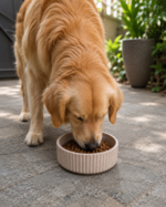 Pure Paws Feeder - Image 5