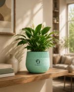 Ripple Pot - Image 4