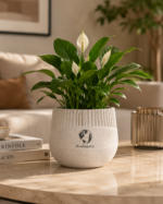 Ripple Pot - Image 2