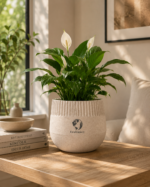Ripple Pot
