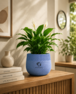 Ripple Pot - Image 7