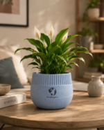 Ripple Pot - Image 9