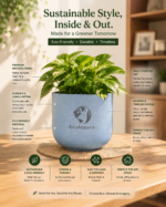 Terra Pot - Image 6