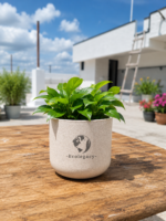 Terra Pot