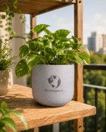 Terra Pot - Image 4