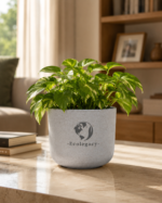 Terra Pot - Image 5