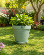 VerdeWeave Planter 10"